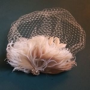 Birdcage Veil